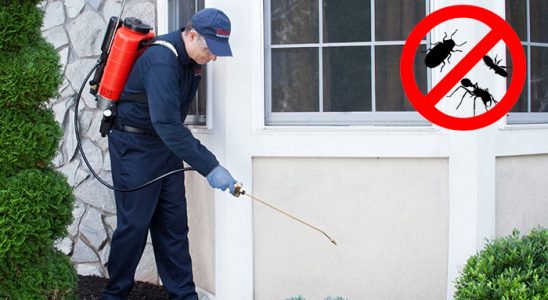 Hamur Bit İlaçlama böcek ilaçlama ve haşere kontrolü — ilaclama-tr.com